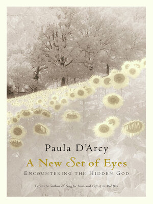 cover image of A New Set of Eyes